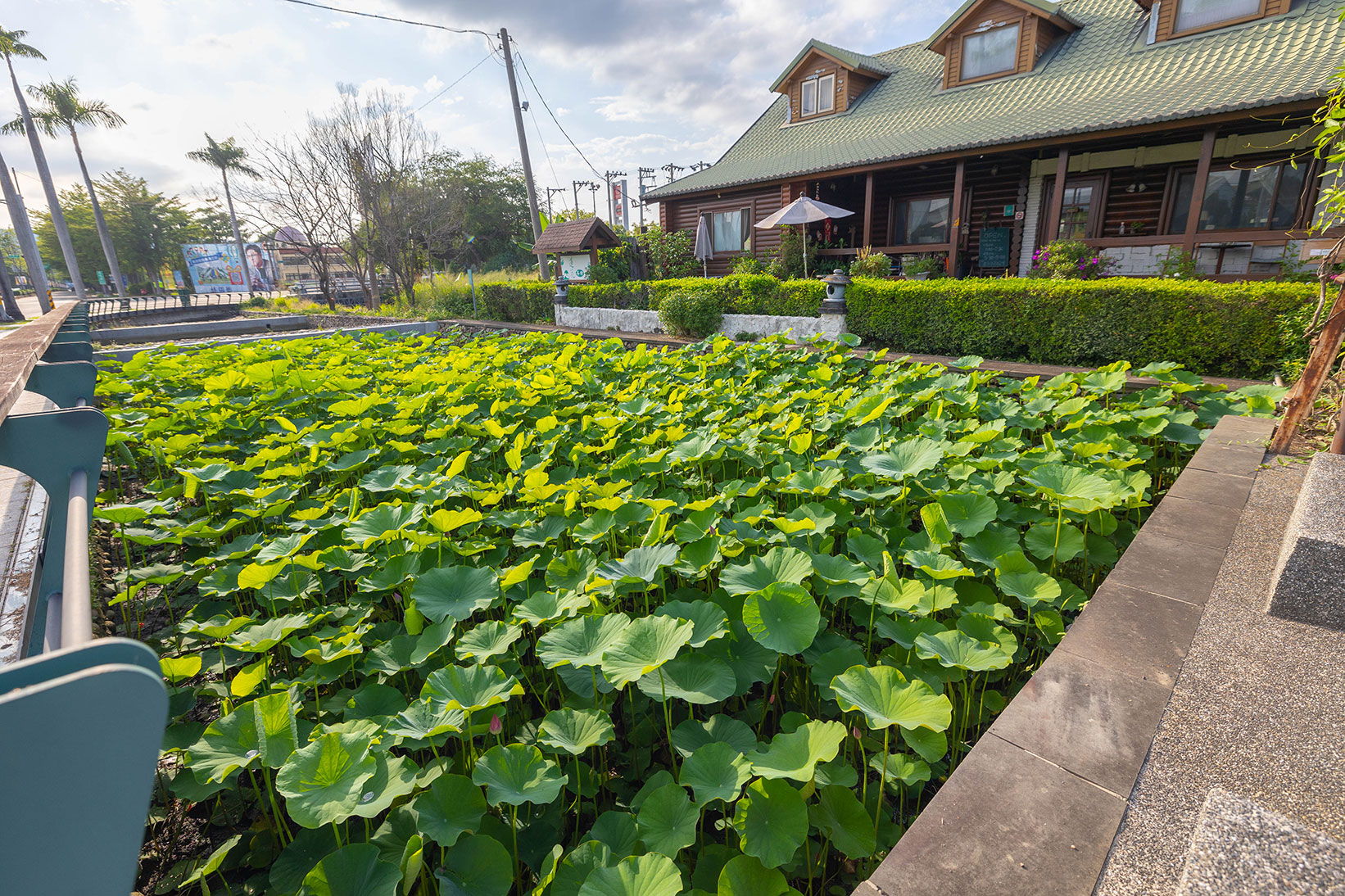 中興新村美食三寶-中興新村一日遊懶人包
