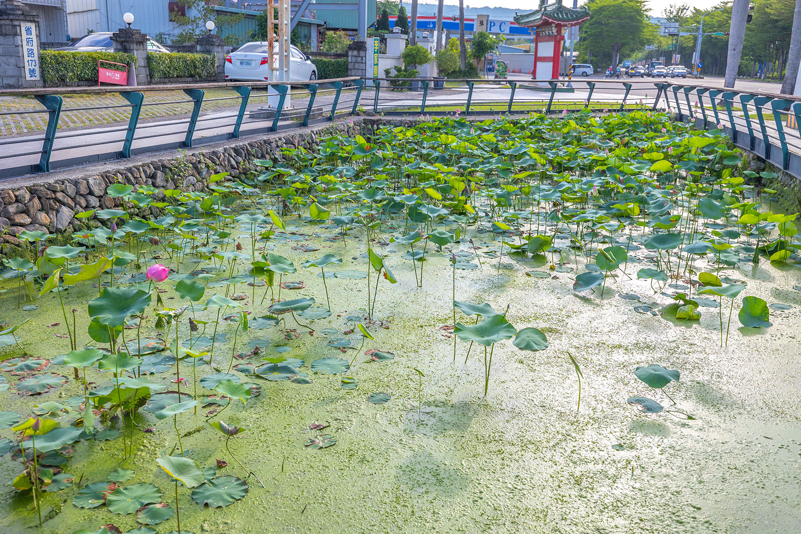 中興新村美食三寶-中興新村一日遊懶人包