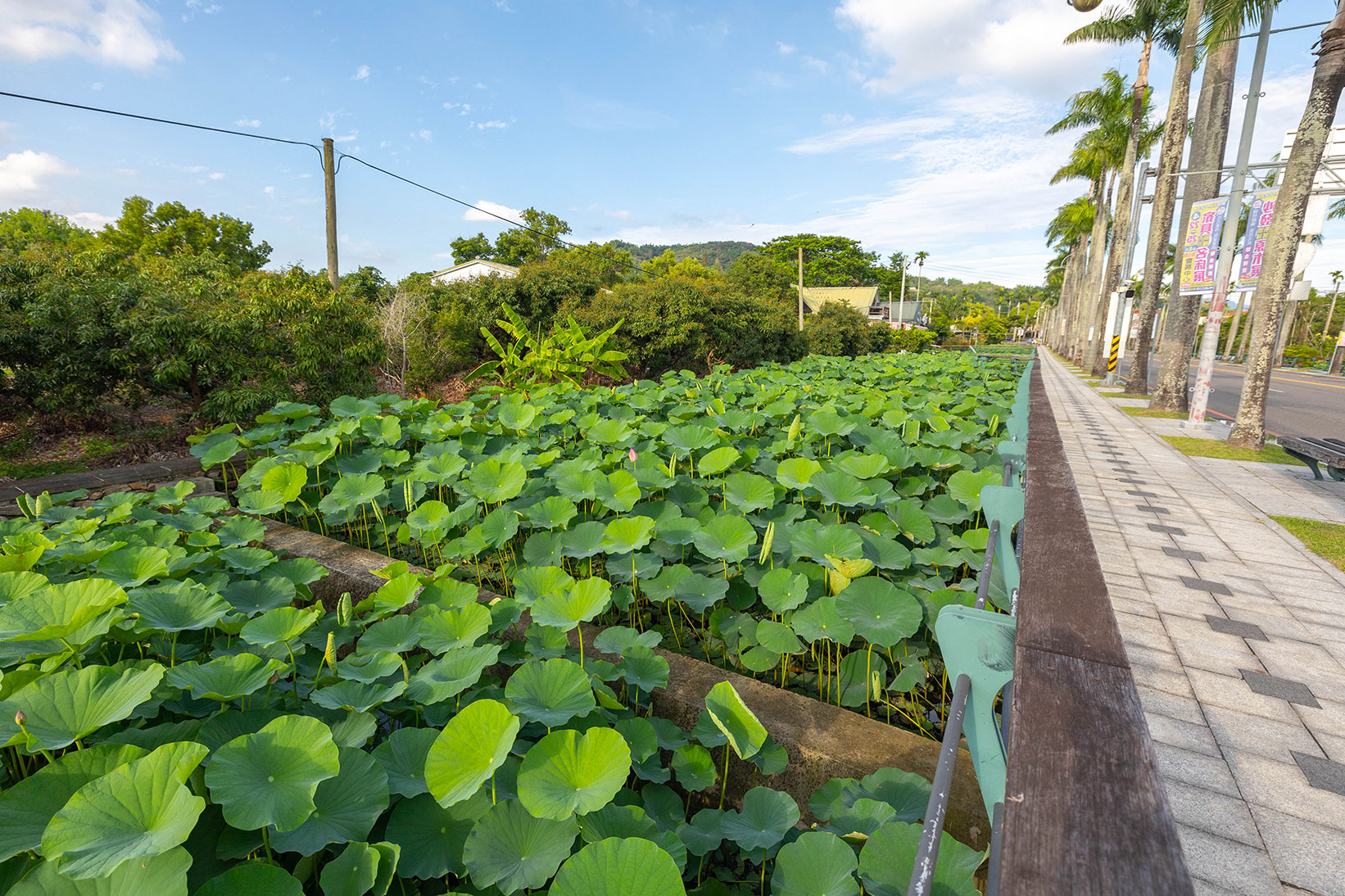 中興新村美食三寶-中興新村一日遊懶人包