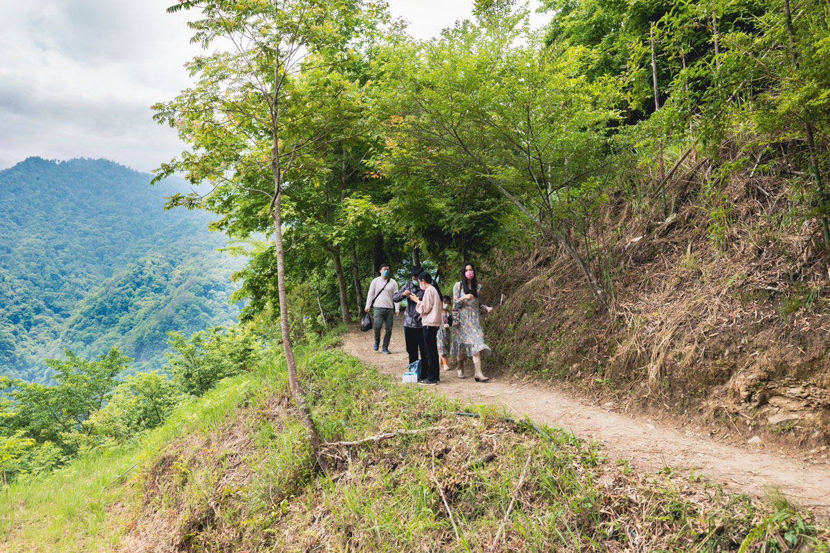 司馬庫斯兩天一夜​-熊麻吉旅行社