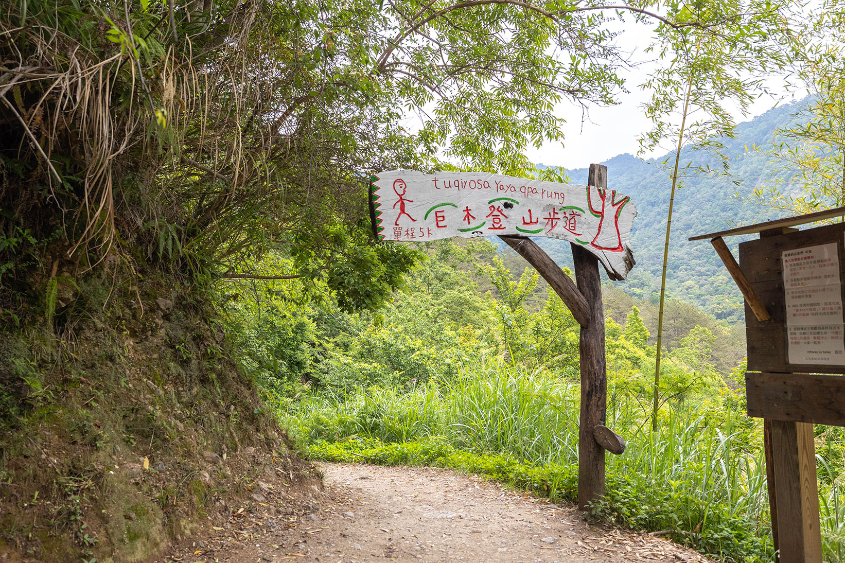 司馬庫斯兩天一夜​-熊麻吉旅行社