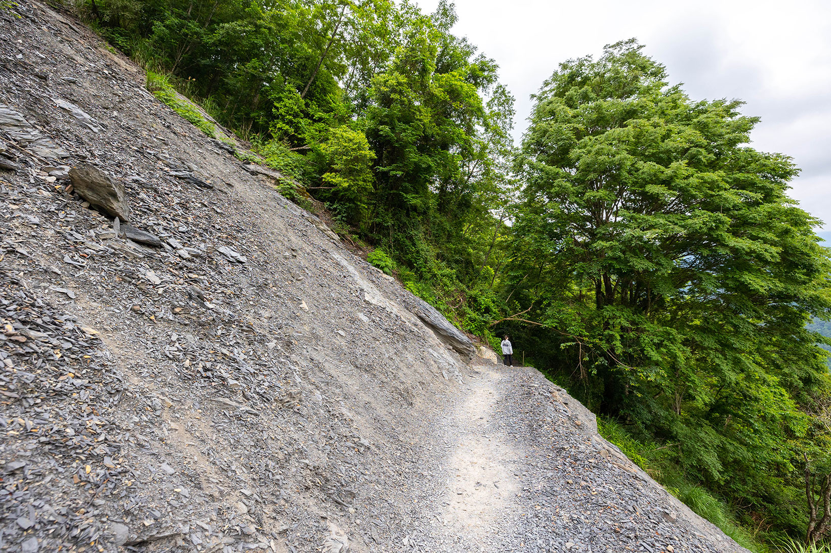 司馬庫斯兩天一夜​-熊麻吉旅行社