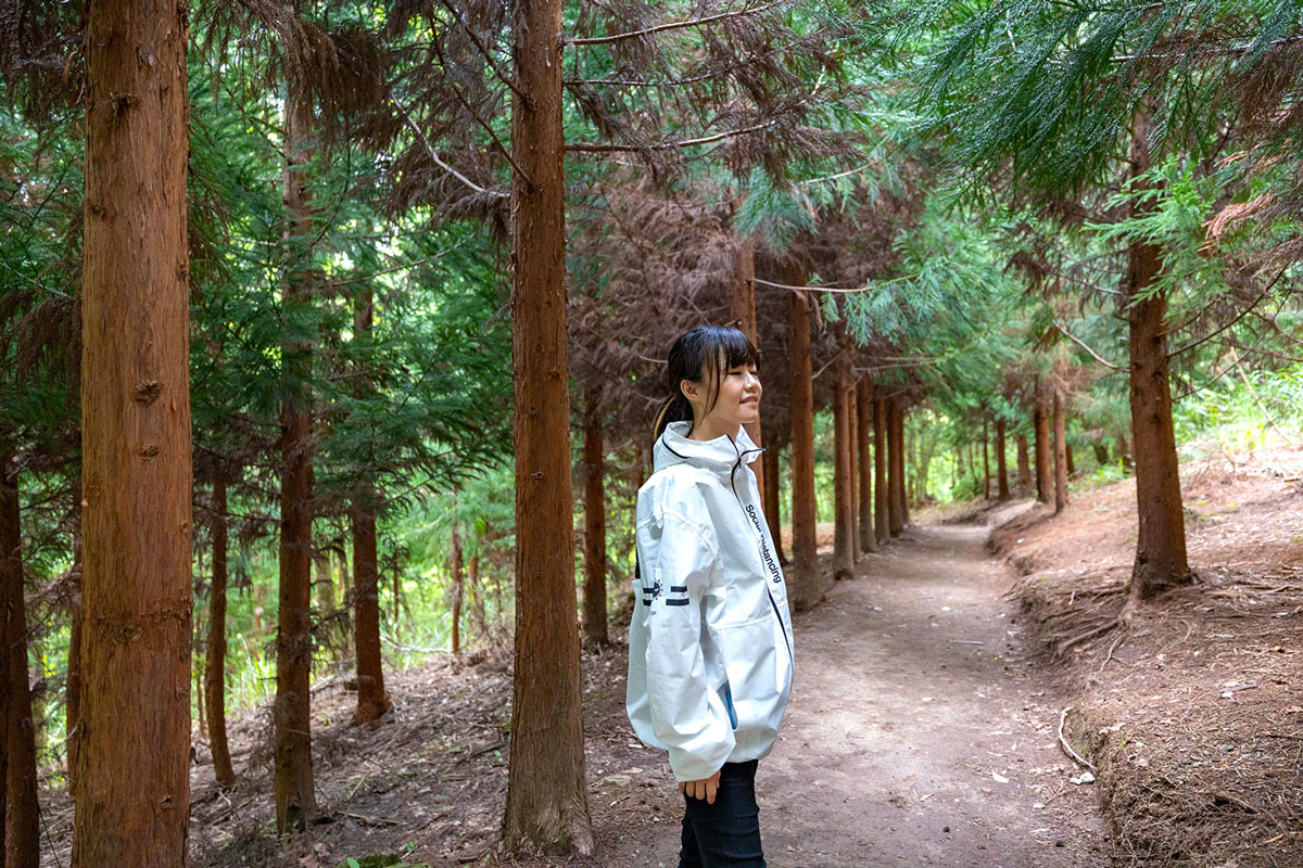 司馬庫斯兩天一夜​-熊麻吉旅行社