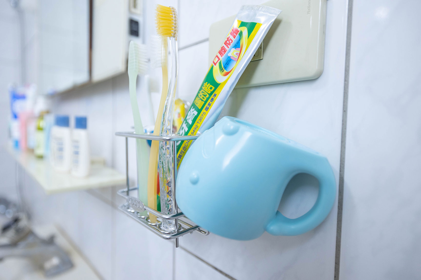 悠然生活-試用大隊的活動