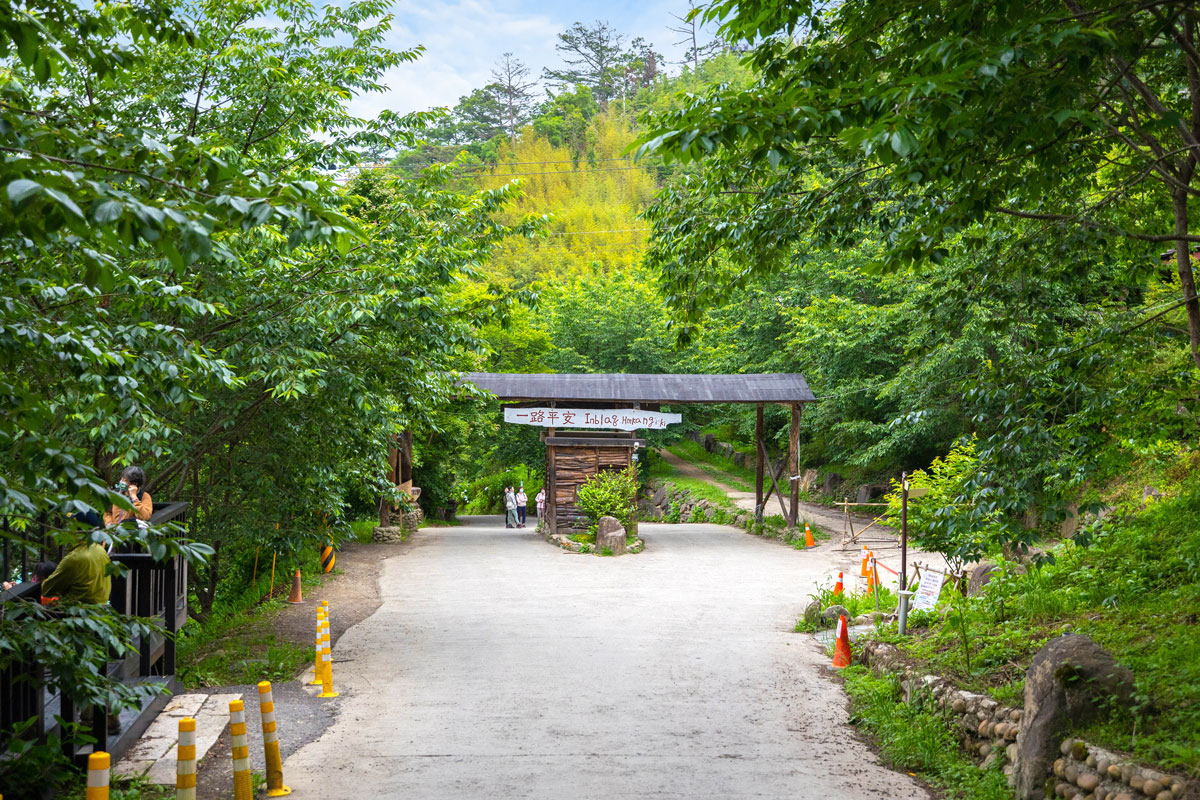 司馬庫斯兩天一夜​-熊麻吉旅行社