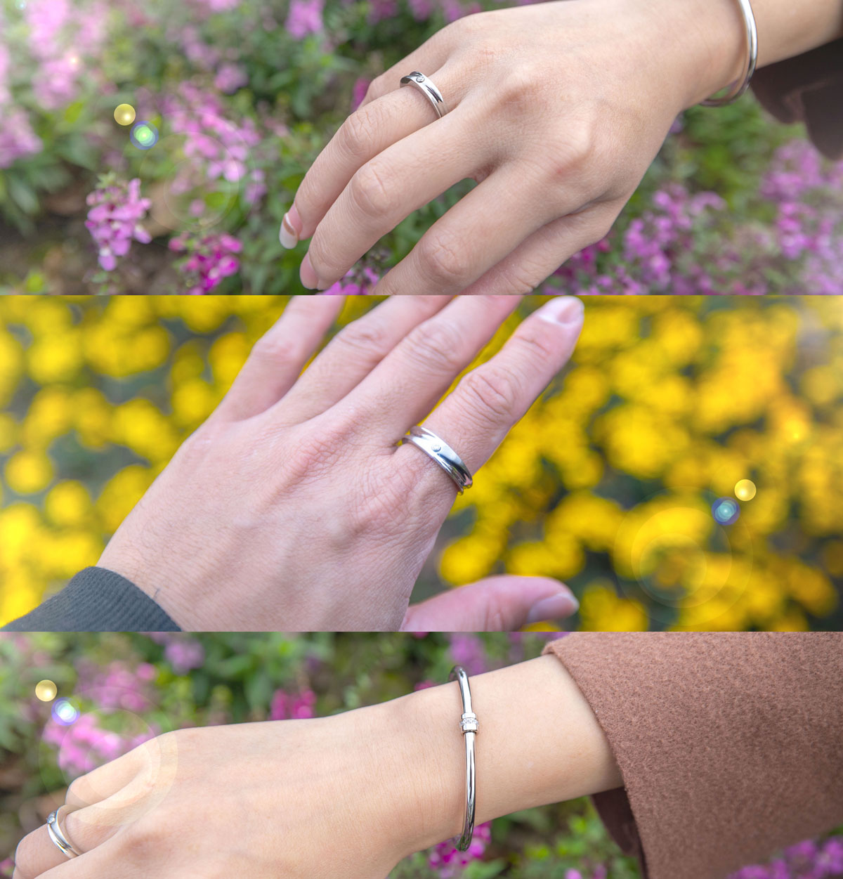 royal damon 羅亞戴蒙