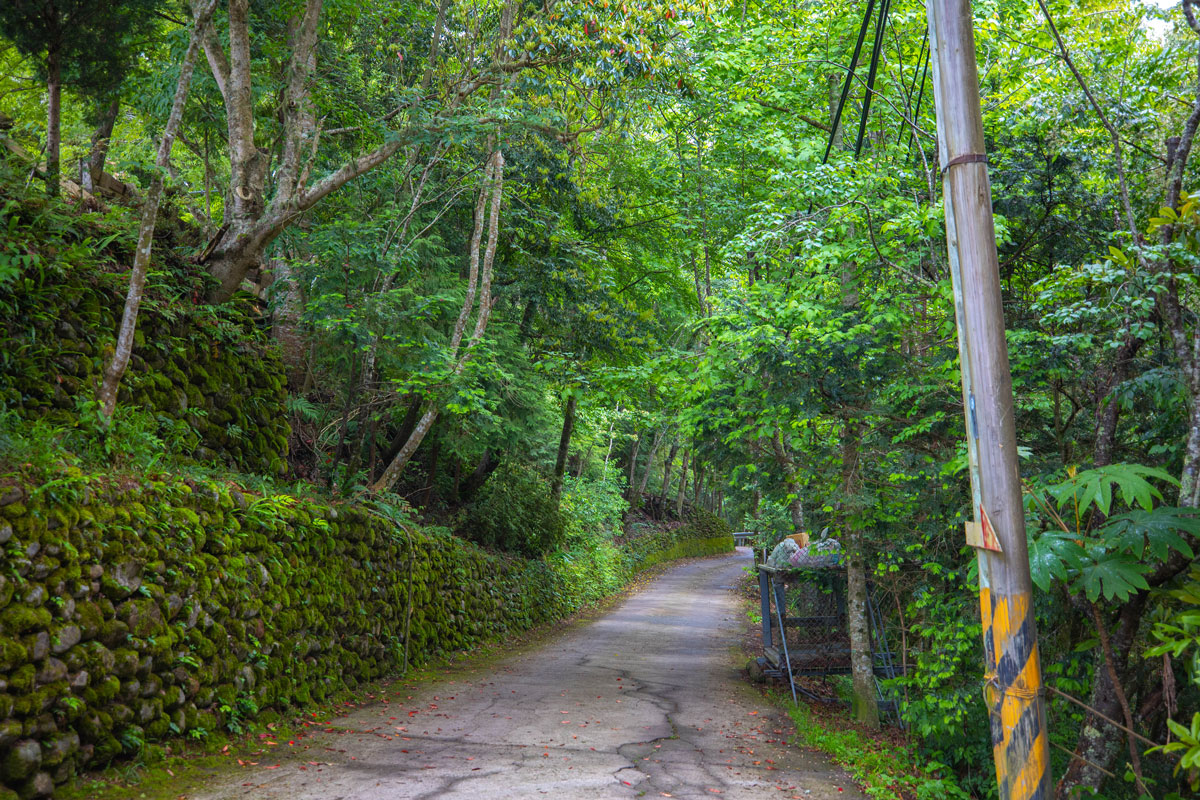 司馬庫斯兩天一夜​-熊麻吉旅行社