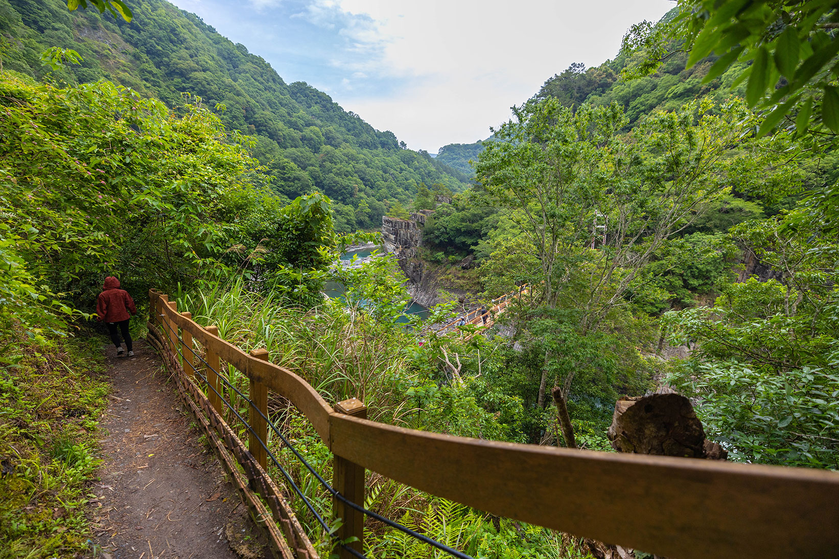司馬庫斯兩天一夜​-熊麻吉旅行社