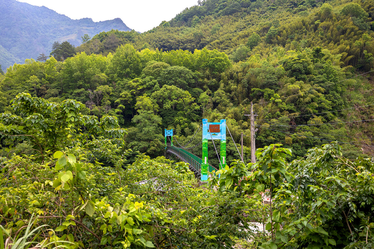 司馬庫斯兩天一夜​-熊麻吉旅行社