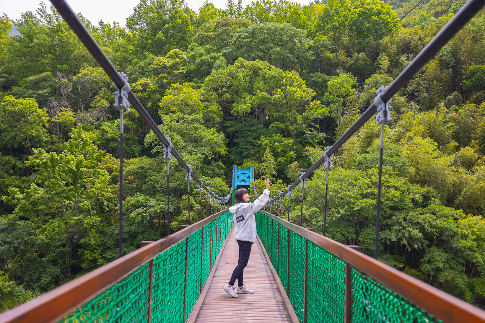 司馬庫斯兩天一夜​-熊麻吉旅行社