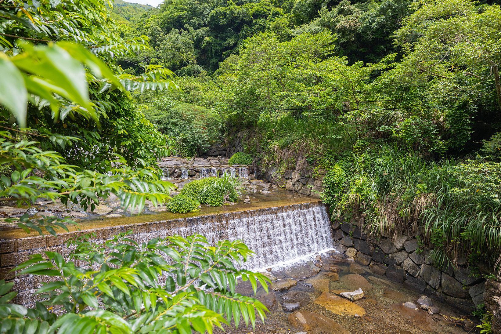司馬庫斯兩天一夜​-熊麻吉旅行社