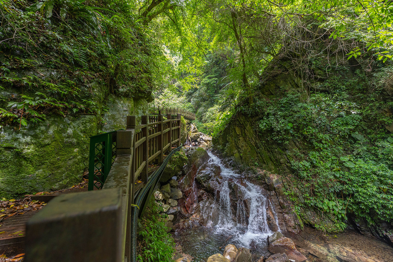 司馬庫斯兩天一夜​-熊麻吉旅行社