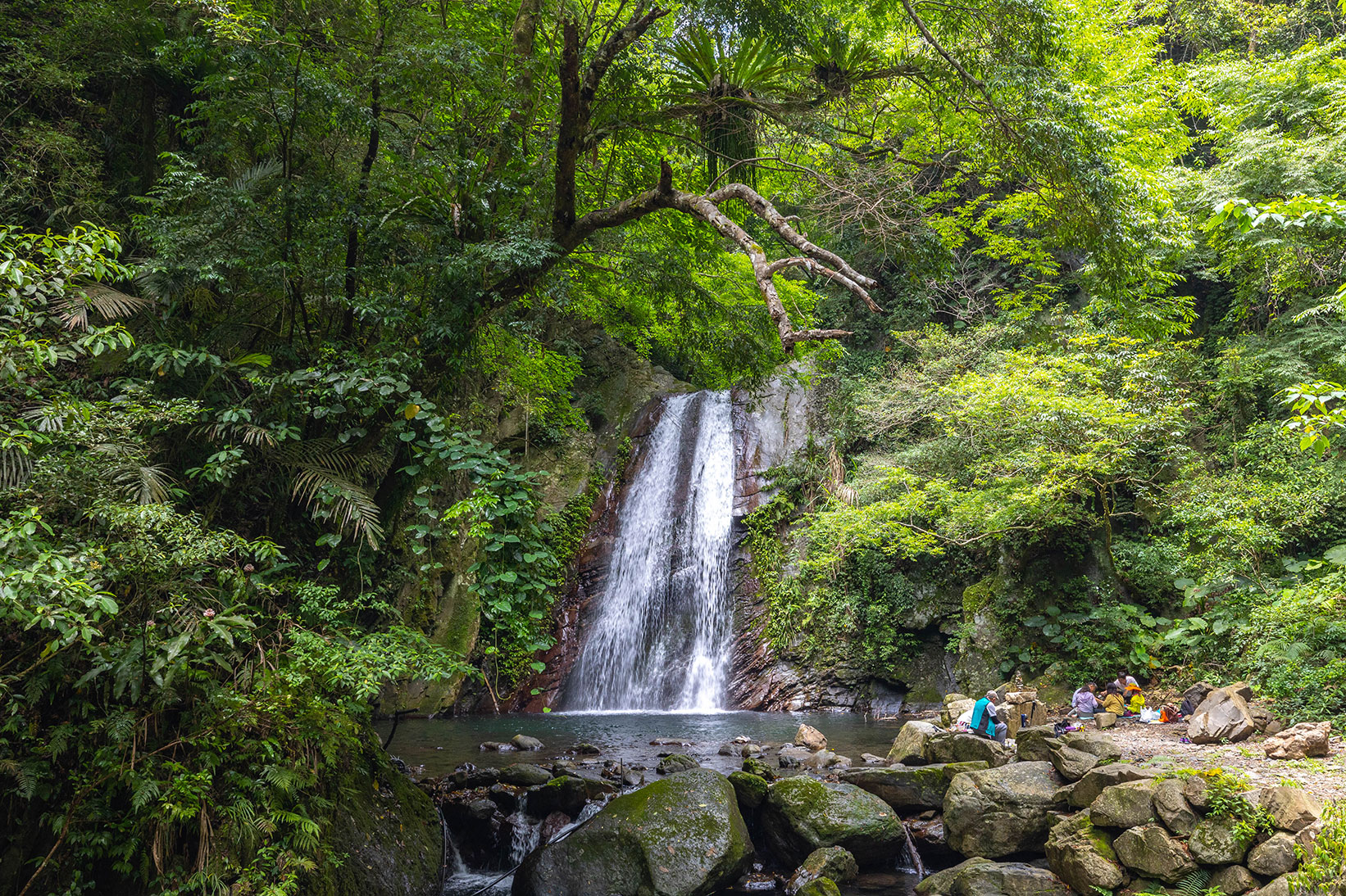 司馬庫斯兩天一夜​-熊麻吉旅行社