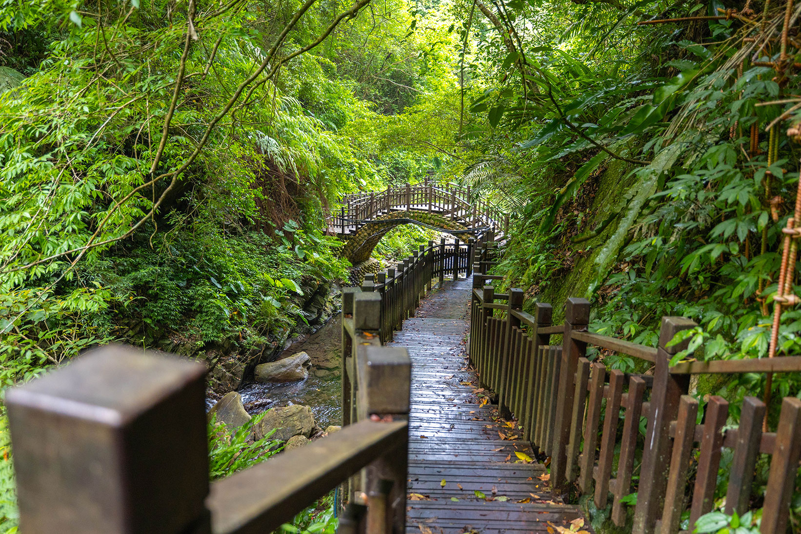 司馬庫斯兩天一夜​-熊麻吉旅行社