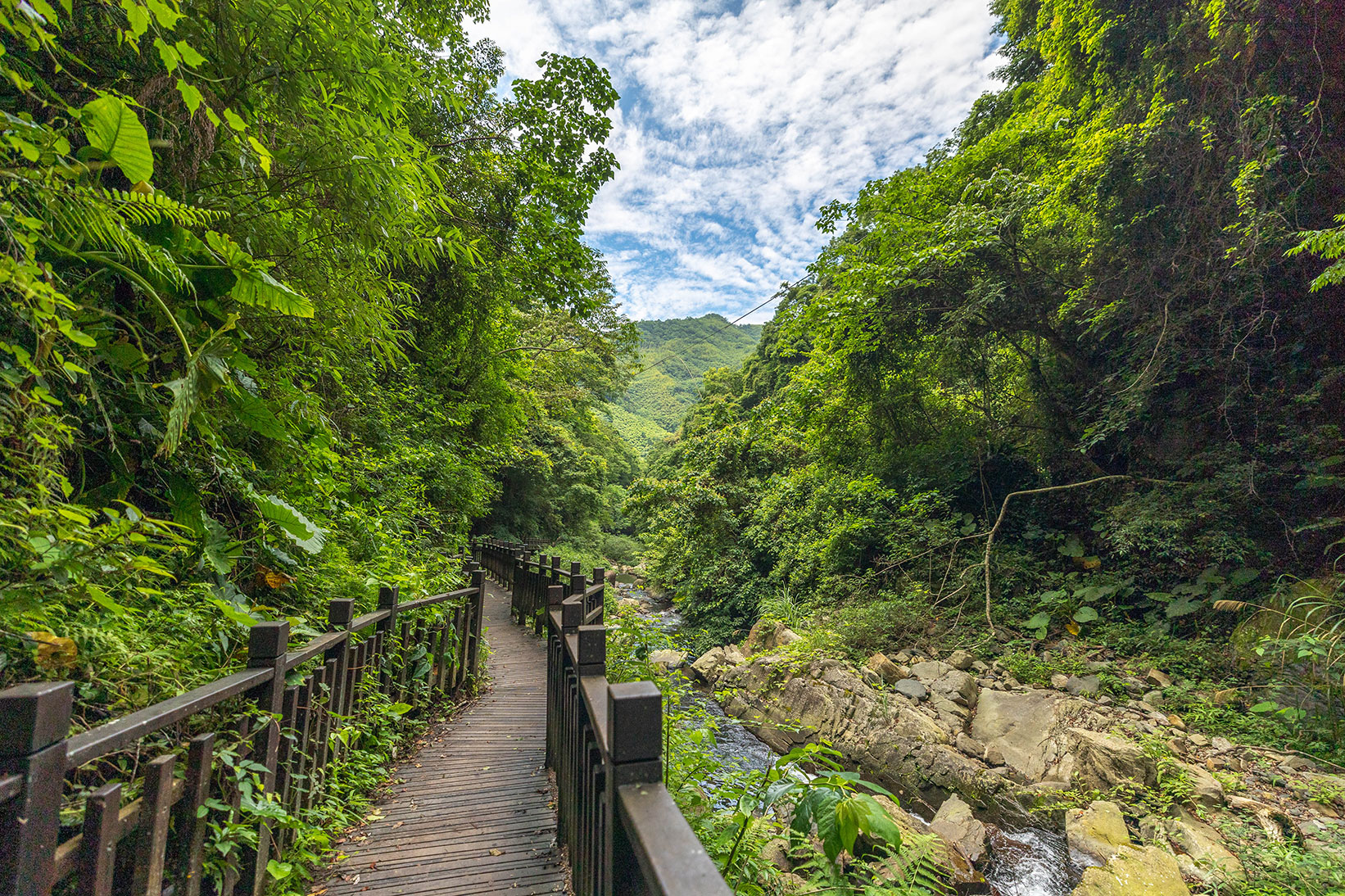 司馬庫斯兩天一夜​-熊麻吉旅行社