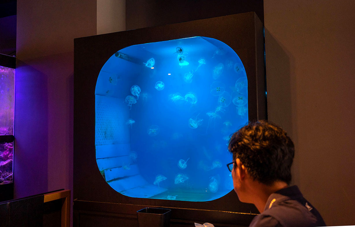 山上走走-日式無菜單燒肉專門店