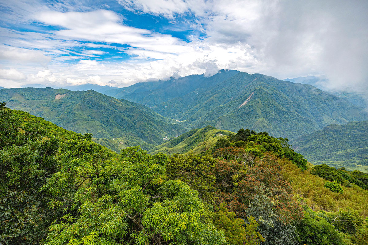 司馬庫斯兩天一夜​-熊麻吉旅行社