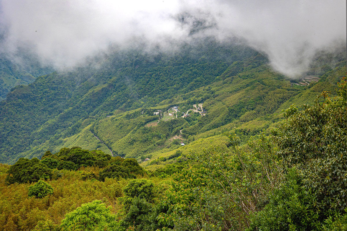司馬庫斯兩天一夜​-熊麻吉旅行社