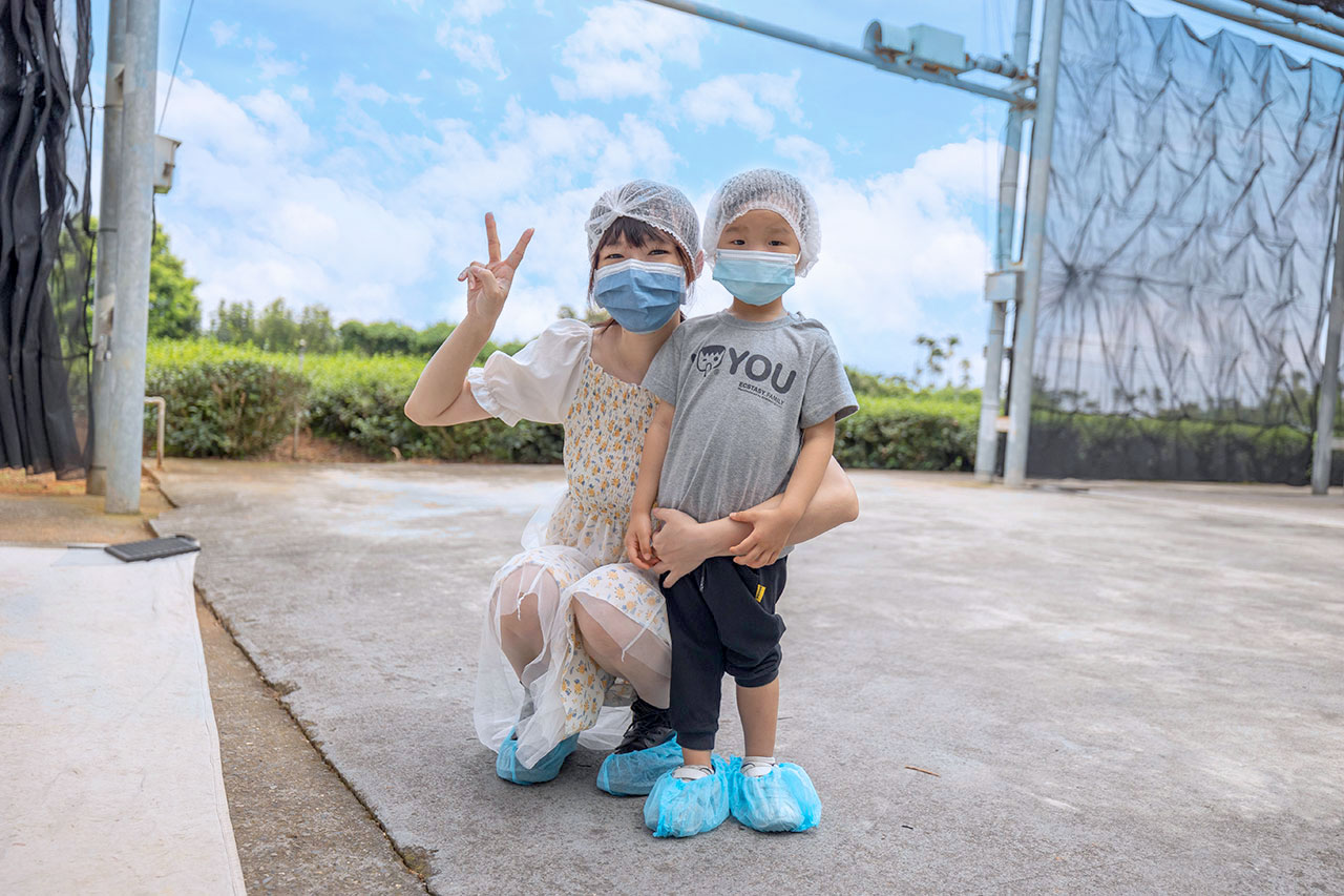 茶の魔手-製茶二廠茶廠巡禮