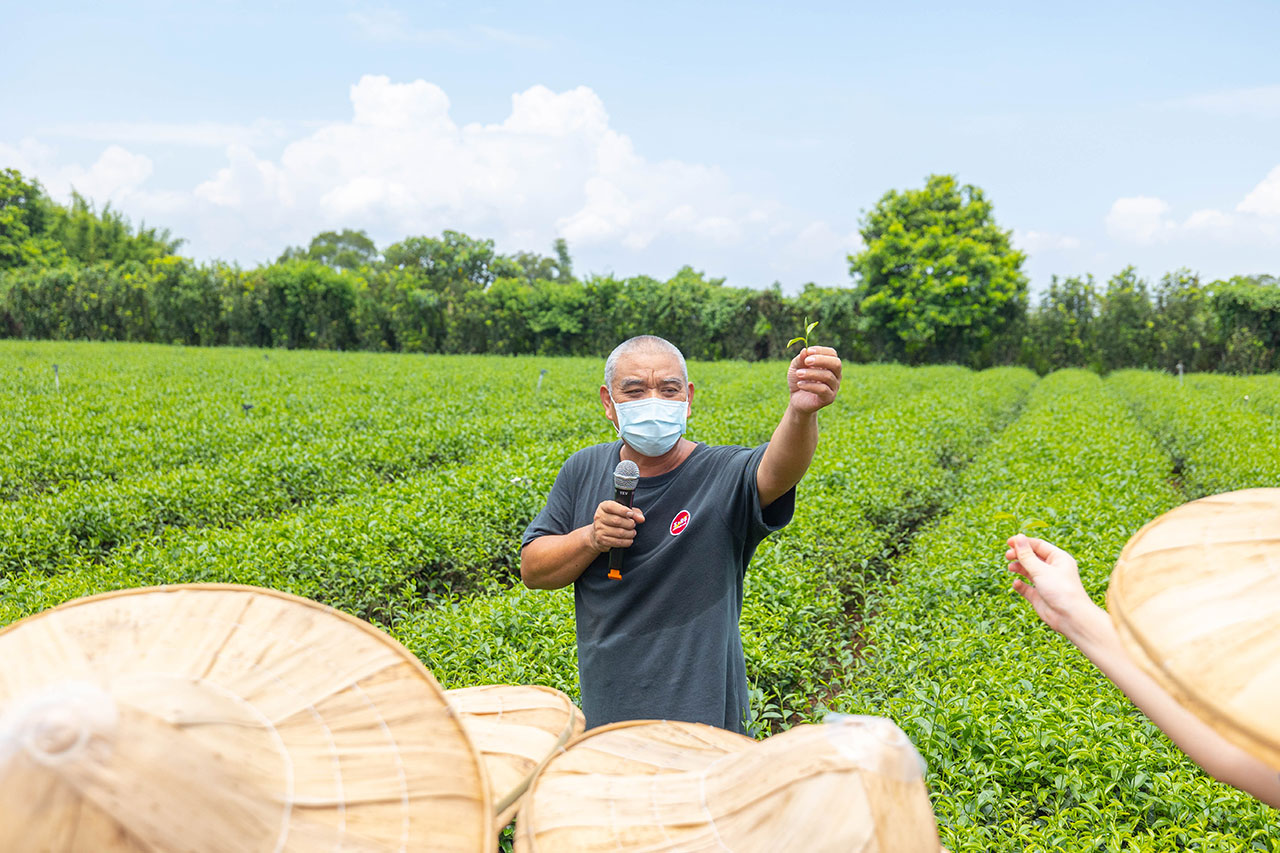 茶の魔手-製茶二廠茶廠巡禮