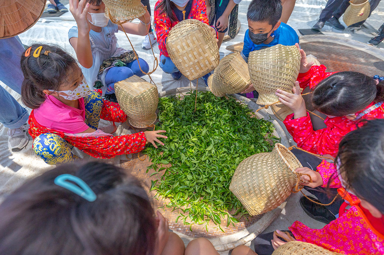 茶之魔手-製茶二廠