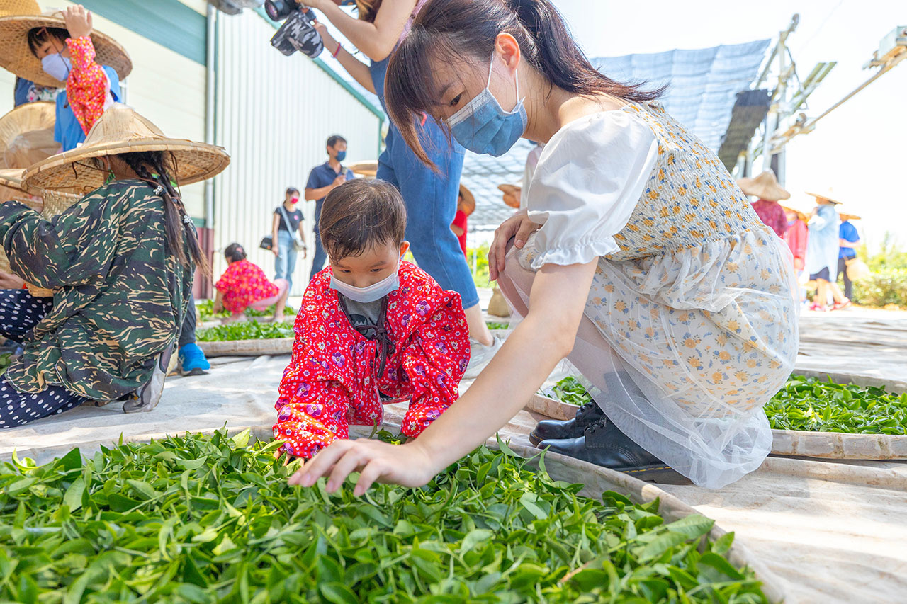 茶の魔手-製茶二廠茶廠巡禮