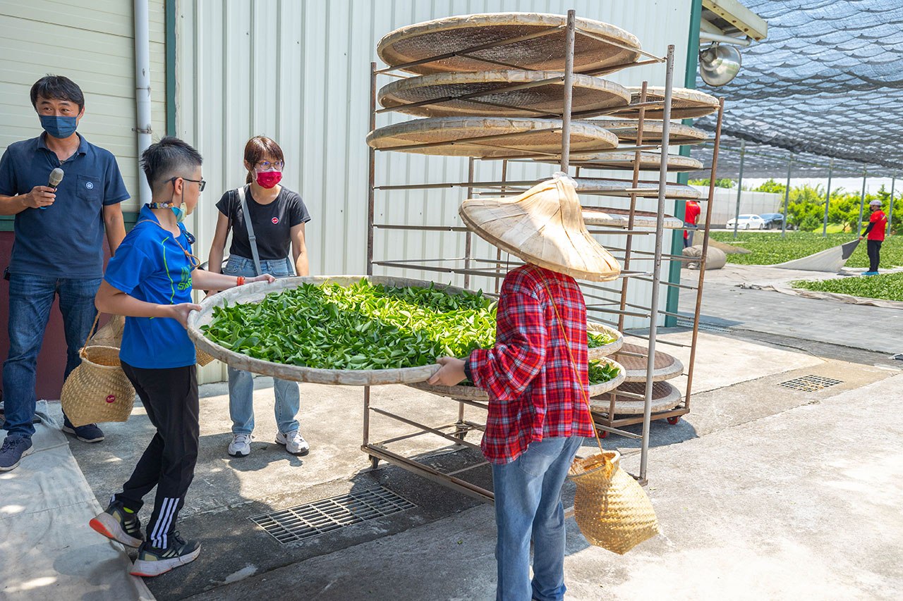 茶の魔手-製茶二廠茶廠巡禮