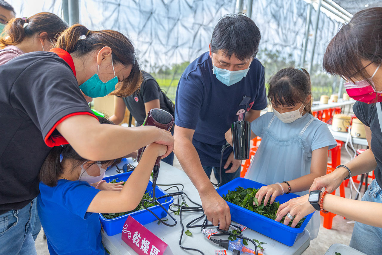 茶の魔手-製茶二廠茶廠巡禮