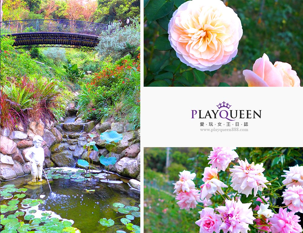 雅聞七里香玫瑰森林