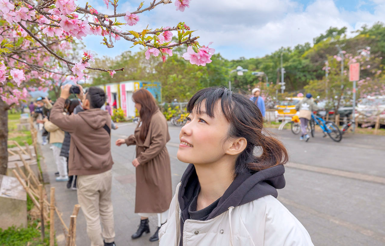 新店安坑輕軌一日遊