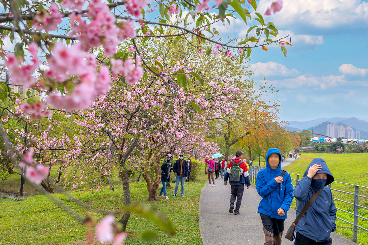 新店安坑輕軌一日遊