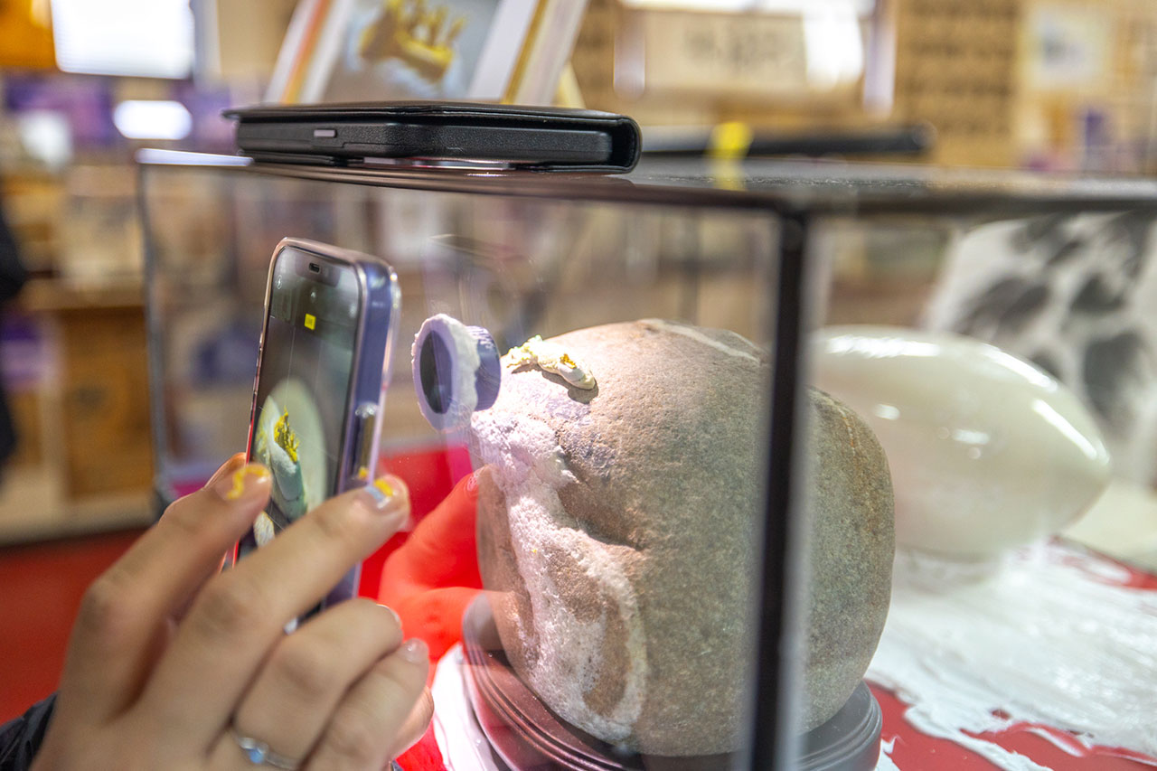 新店安坑輕軌一日遊