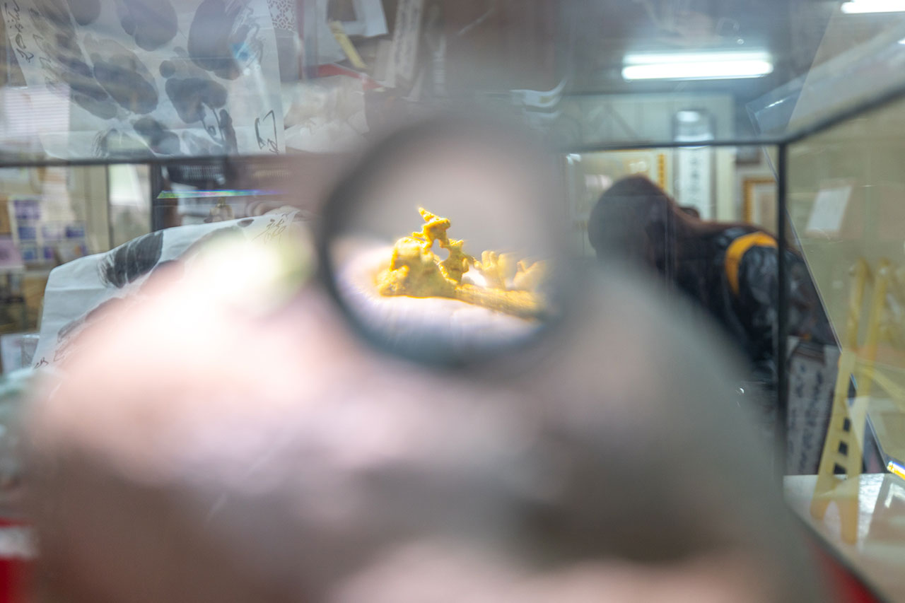 新店安坑輕軌一日遊