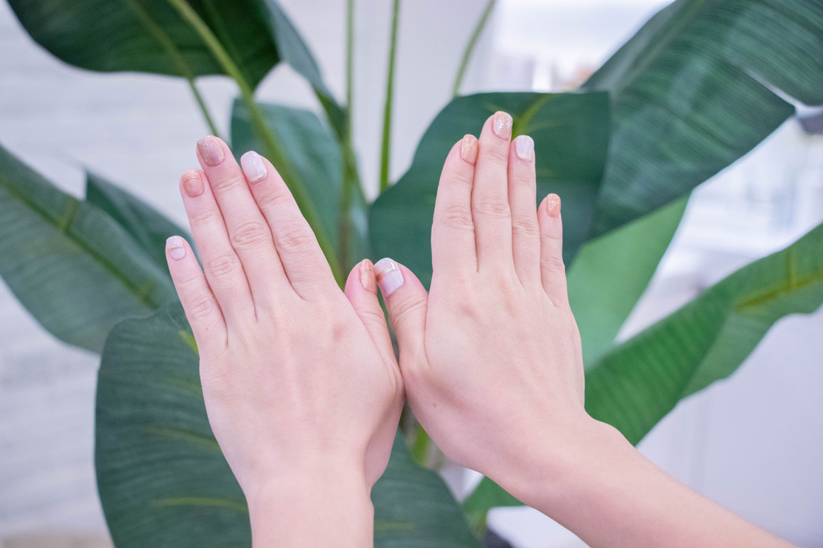 安蒔頤美 安蒔頤美