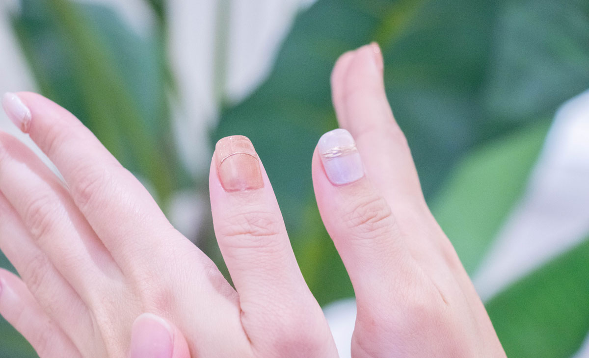 安蒔頤美 安蒔頤美