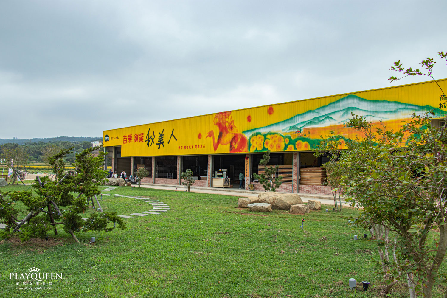 苗栗銅鑼抗菊花節