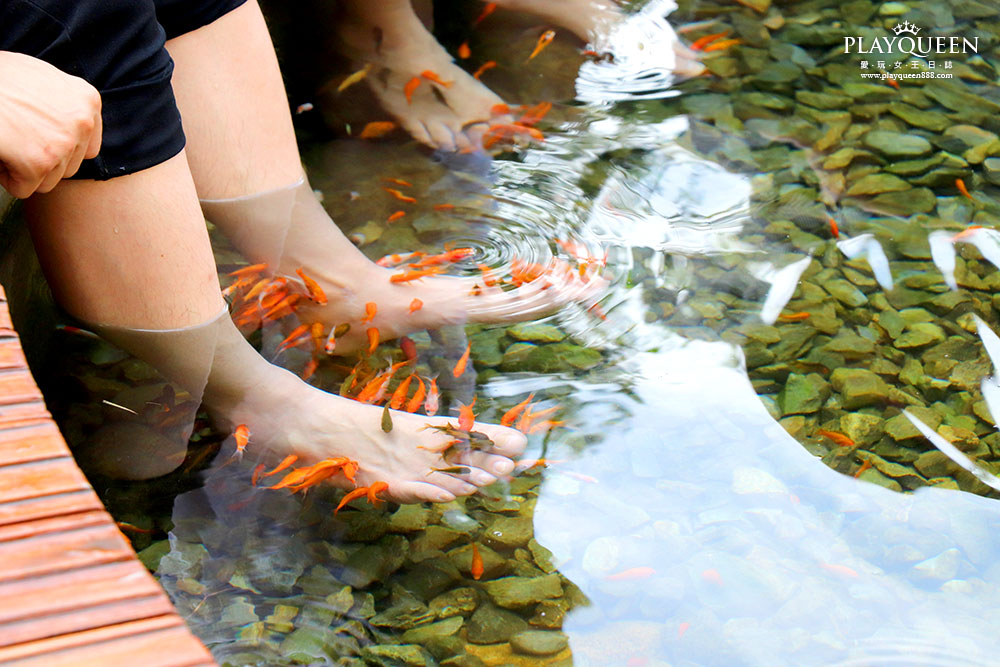 南投稅務出張所