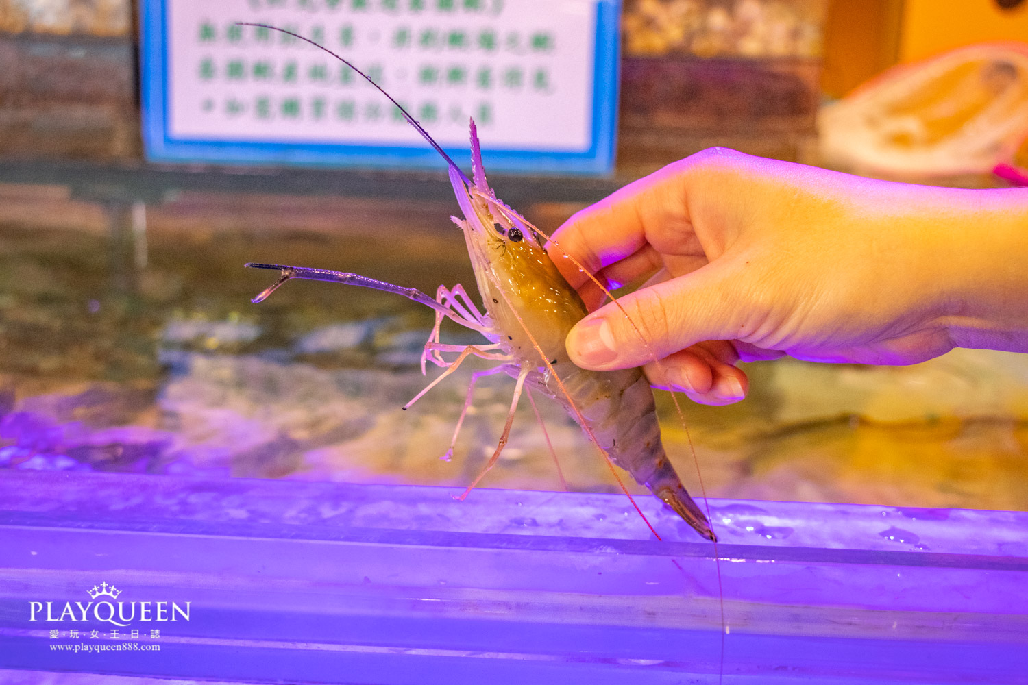 紅瓦舍阿宗師御膳房