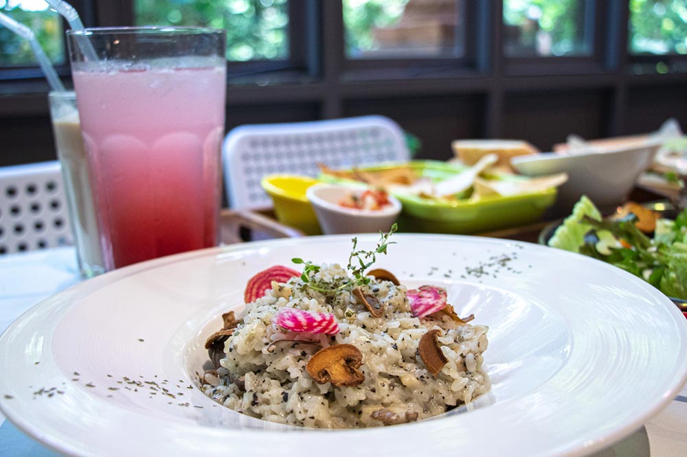 綠萼159創意料理