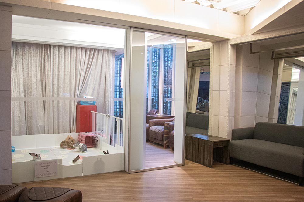 綠萼159創意料理