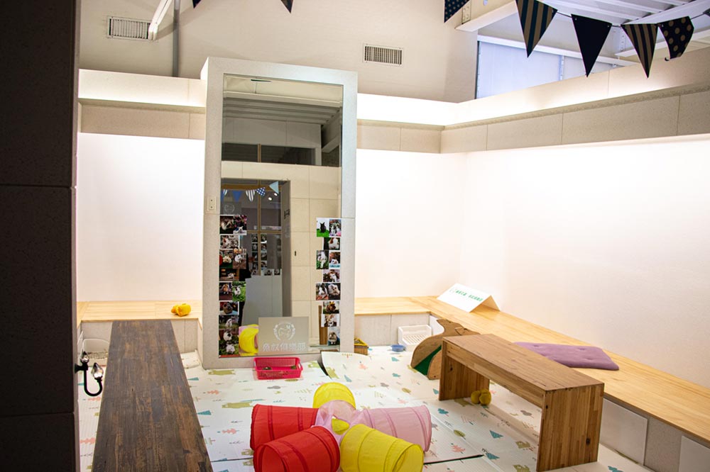 綠萼159創意料理