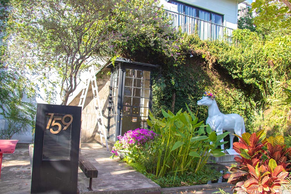 綠萼159創意料理