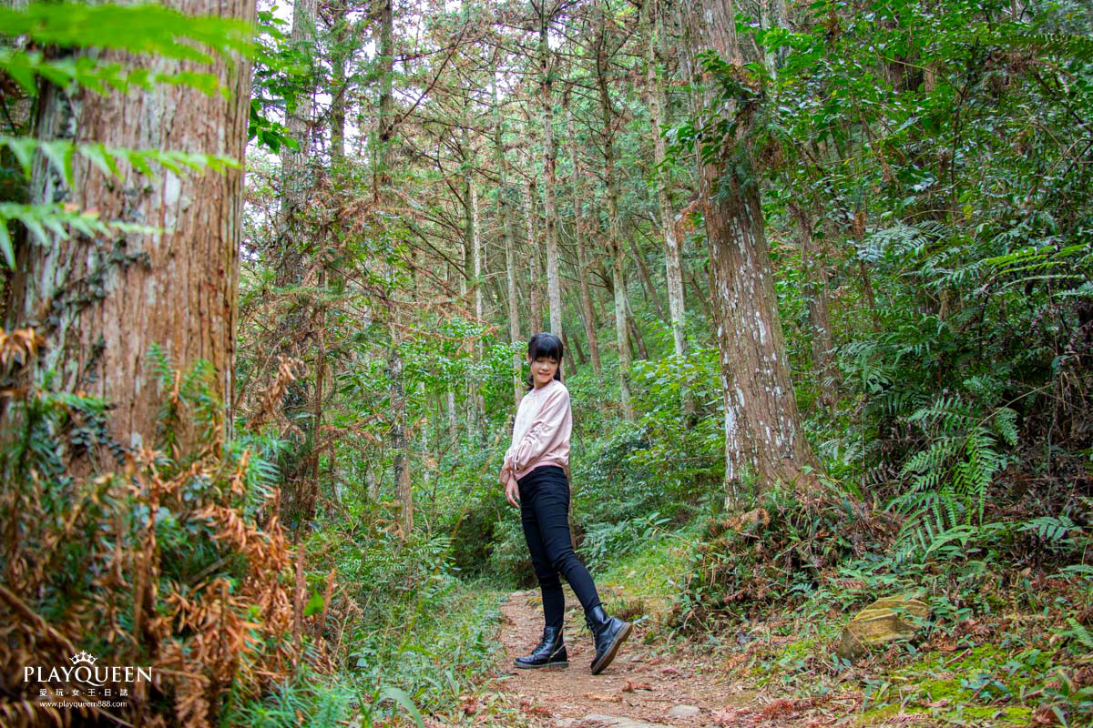 南投北港溪溫泉季