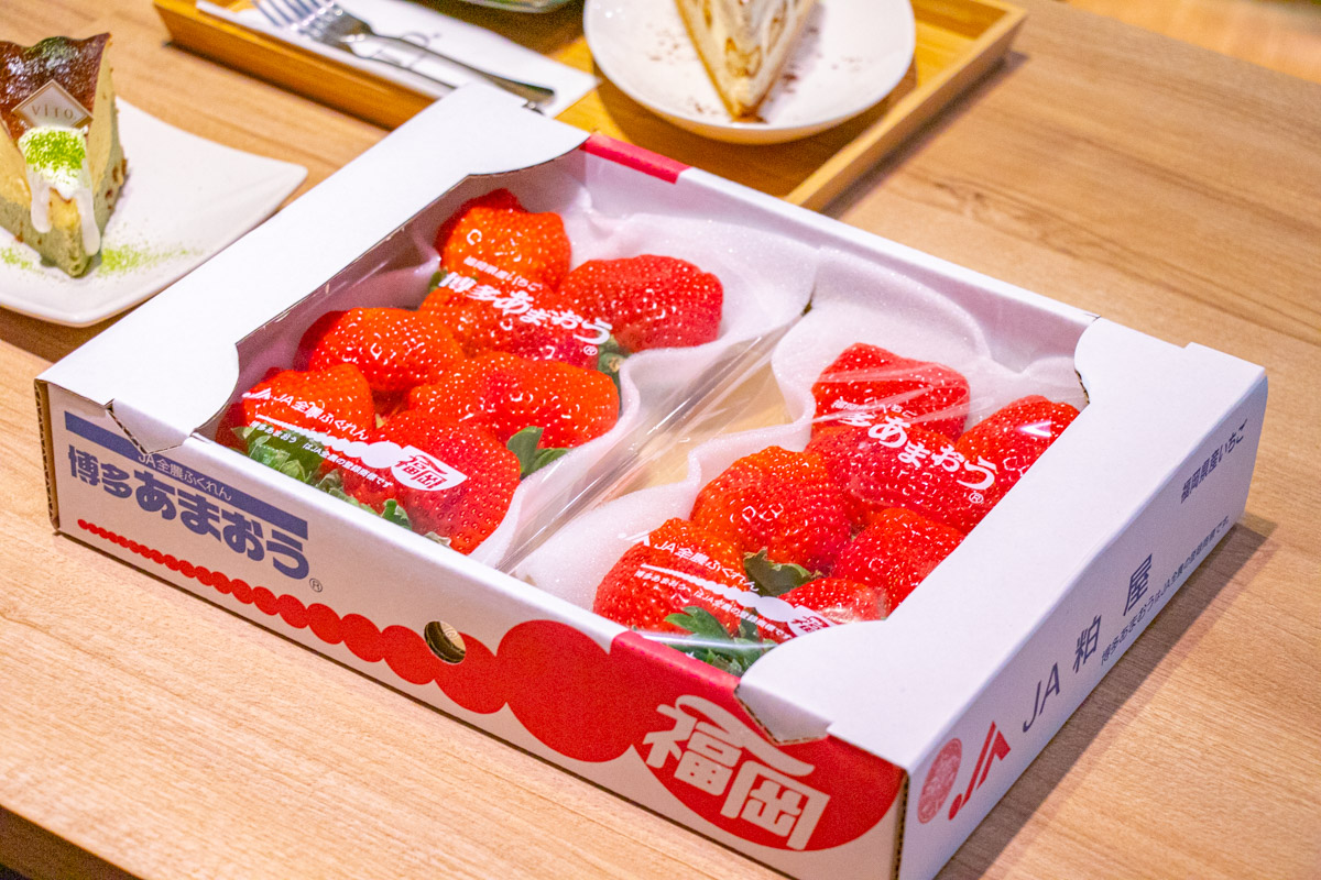 vito義式日本冰淇淋