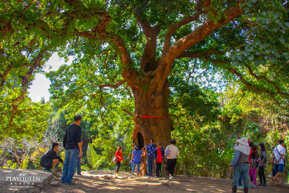 南投北港溪溫泉季