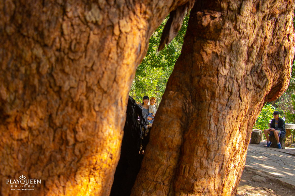 南投北港溪溫泉季