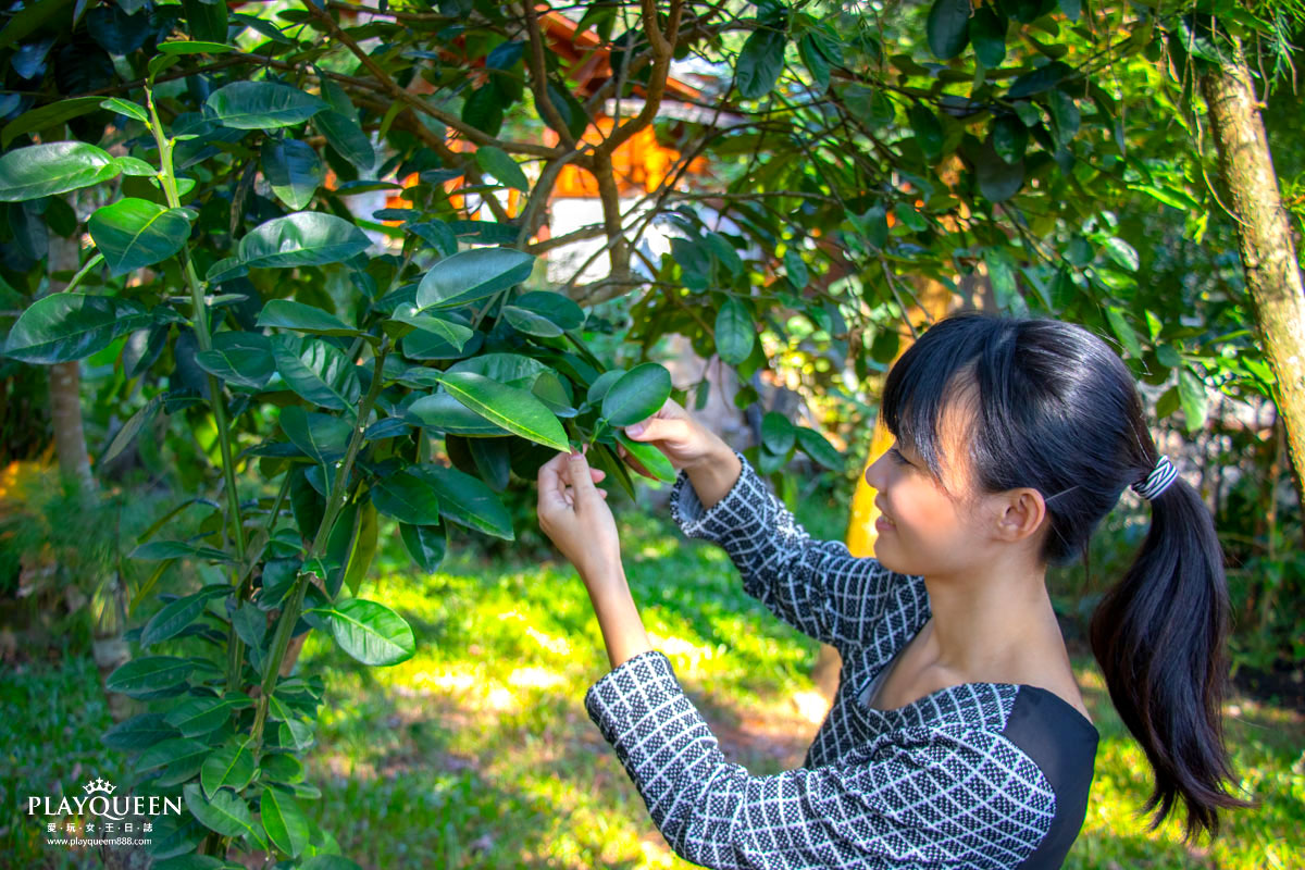 南投北港溪溫泉季