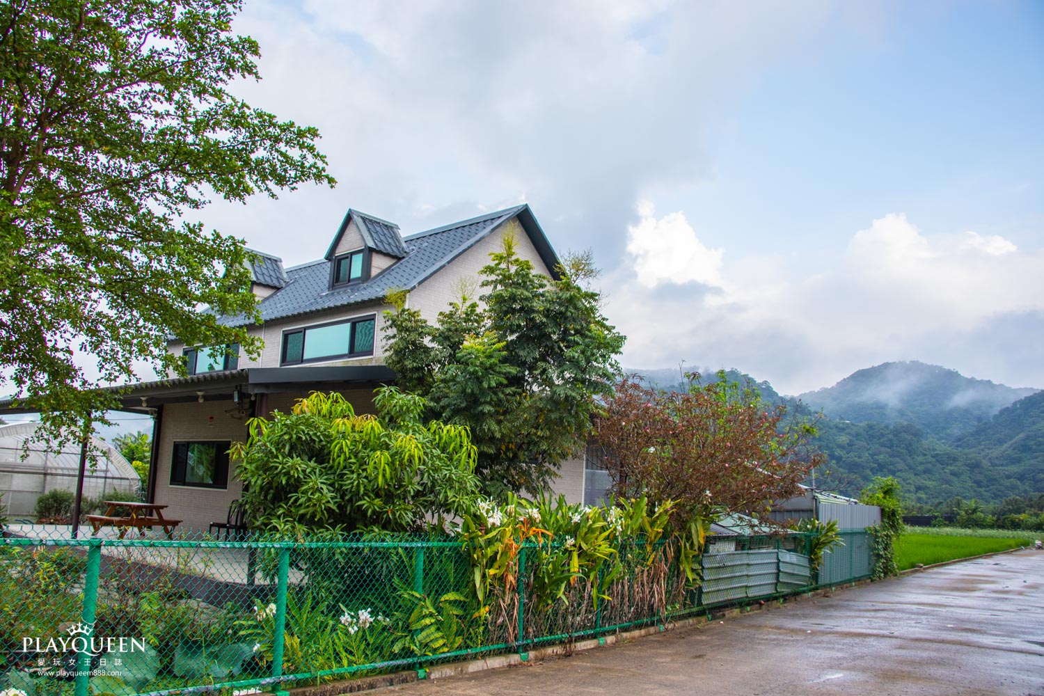 桃園大溪韭菜花海