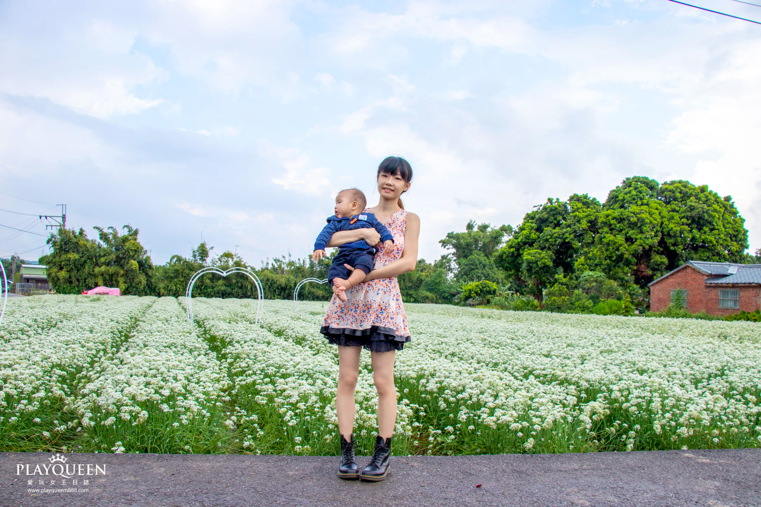 桃園大溪韭菜花海