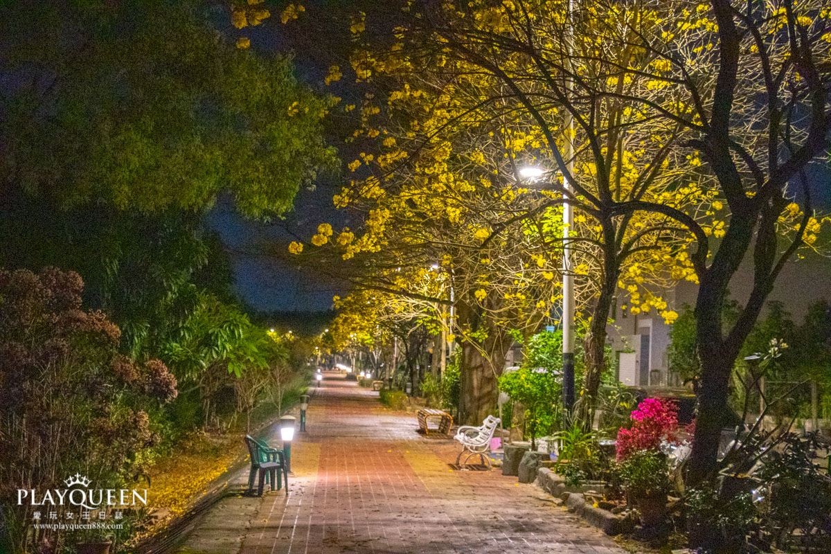 彌陀映月橋-夜間風鈴花秘境